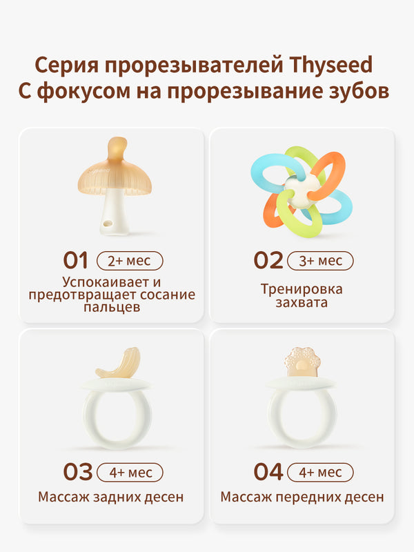 прорезыватель для зубов, от 3+ мес